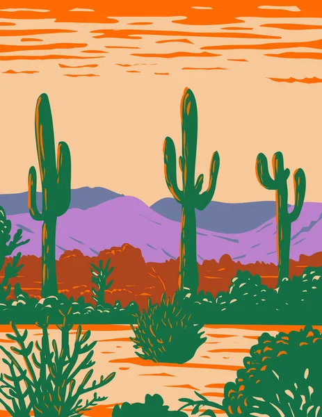 Wpa Poster Art Saguaro Cactus Sonoran Desert National Monument Located —  Vetores de Stock