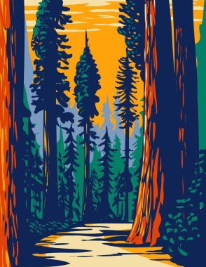 WPA Poster Art of the Simpson-Reed Grove of Coast redwoods located in Jedediah Smith State Park part of Redwood National and State Parks in California done in works project administration style. clipart