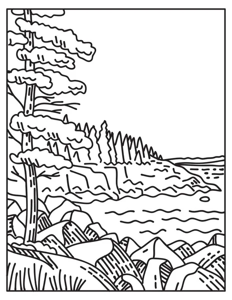 Mono Line Illustration Acadia National Park Atlantic Coast Mount Desert — Vector de stock