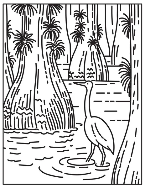 Mono Linha Ilustração Grande Egret Wading Manguezal Sawgrass Pântano Everglades — Vetor de Stock