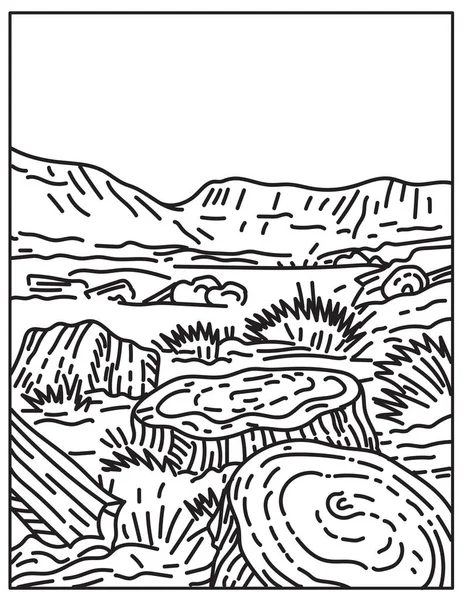 美国亚利桑那州东北部纳瓦霍县和阿帕奇县石化森林国家公园的单线插图 以复古的黑白单线艺术风格绘制 — 图库矢量图片