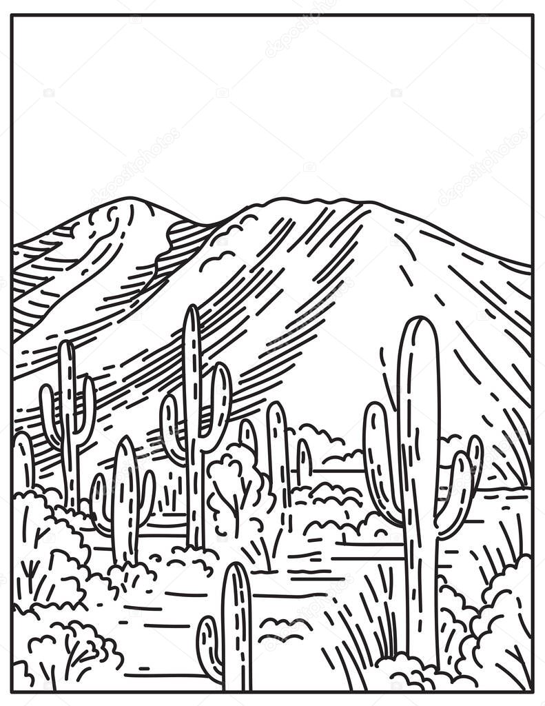 Mono line illustration of the Wasson Peak at the Tucson Mountain District in Saguaro National Park located in Arizona, United States done in retro black and white monoline line art style.