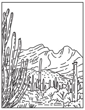 Sonoran Çölü 'ndeki Organ Boru Kaktüsü Ulusal Anıtı' nın mono çizgisi çizimi Güney Arizona 'da yer almaktadır..