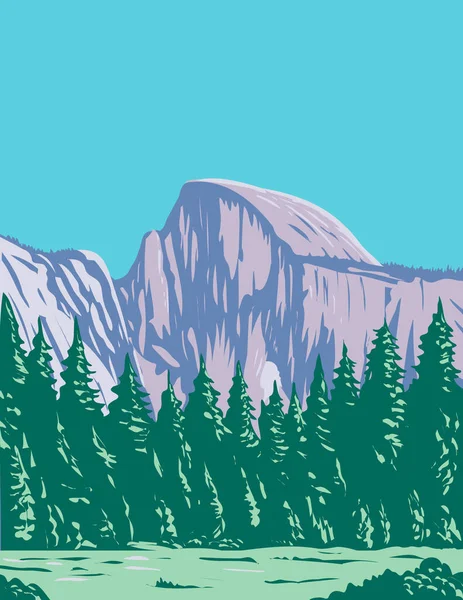 Wpa Affisch Konst Half Dome Granit Kupol Östra Änden Yosemite — Stock vektor