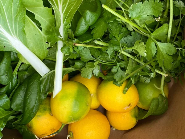 Foto Frutas Cítricas Limão Coentro Coentro Salsa Chinesa Bok Choy — Fotografia de Stock