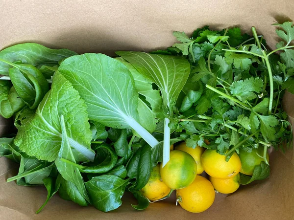 Photo Citrus Lemon Fruit Coriander Cilantro Chinese Parsley Bok Choy — Stock Photo, Image