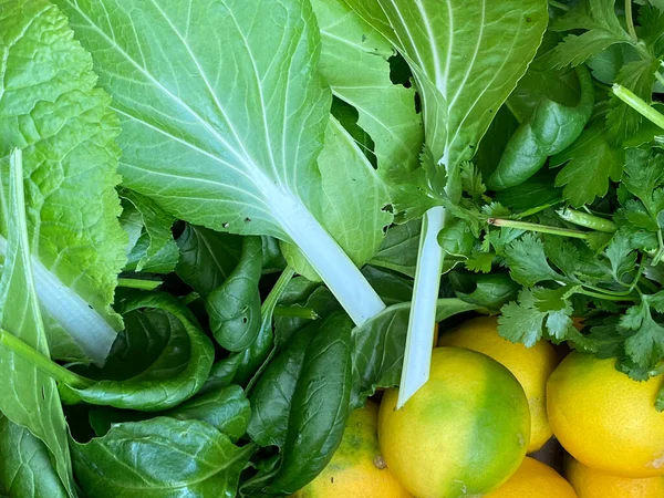 Photo Citrus Lemon Fruit Coriander Cilantro Chinese Parsley Bok Choy — Stock Photo, Image