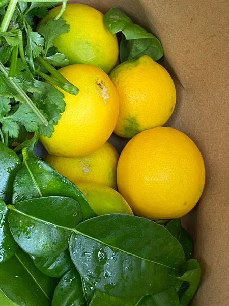 柑橘系レモンの果物 コリアンダー コリアンダー コリアンダー チャイニーズパセリ ボックスチョイ チャイニーズキャベツ カフィールライムの葉とほうれん草の写真茶色の紙袋の中 — ストック写真