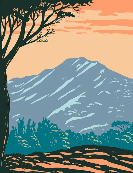 Wpa Affisch Konst Toppen Mount Tamalpais Eller Mount Tam Ligger — Stock vektor