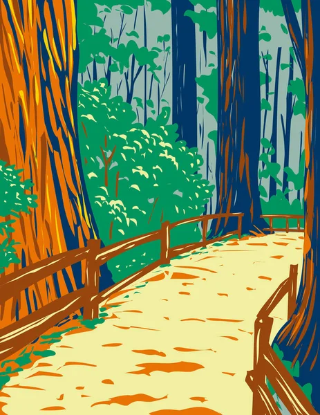 Wpa Poster Art Redwood Trees Muir Woods National Monument Golden —  Vetores de Stock