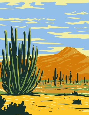 Arizona, ABD 'de bulunan Organ Borusu Kaktüs Ulusal Anıtı' nda büyüyen WPA poster sanatı ve Meksika 'nın Sonora eyaleti proje yönetimi tarzında yapıldı.