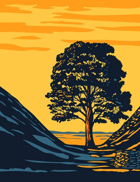 Art Deco Lub Wpa Plakat Drzewa Sycamore Gap Hadrian Wall — Wektor stockowy