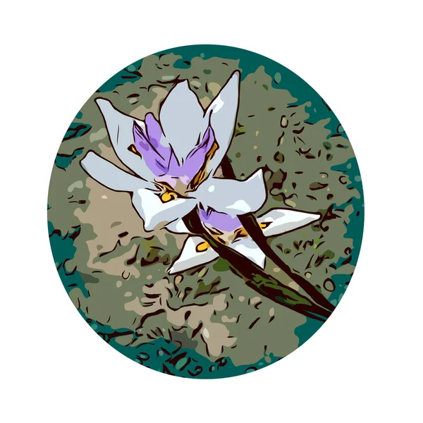 Afiche Wpa Arte Conjunto Flores Iris Dentro Del Círculo Hecho — Vector de stock