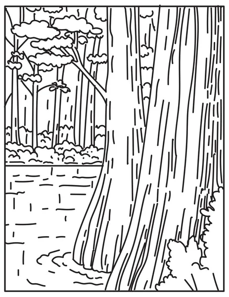 Ilustracja Monolińskiego Lasu Liściastego Parku Narodowym Congaree Środkowej Karolinie Południowej — Wektor stockowy