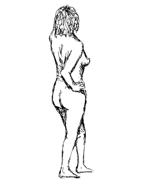 一个裸体女性人物造型的涂鸦艺术图以黑白相间的线条画法在孤立的背景下笔直站立后视镜 — 图库矢量图片