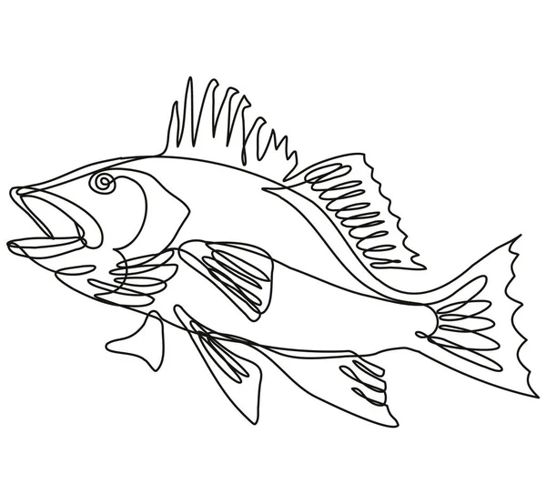 Continue Lijn Tekening Illustratie Van Een Largemouth Bas Springen Zijaanzicht — Stockvector