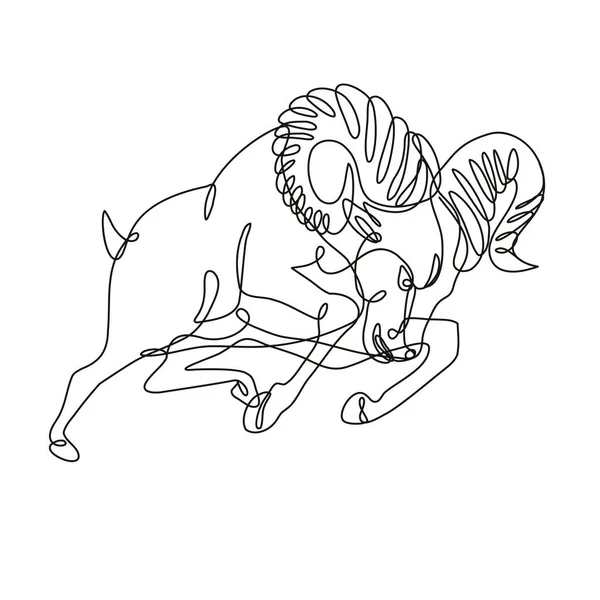 Dibujo Línea Continua Ilustración Carnero Oveja Bighorn Saltando Atacando Hecho — Archivo Imágenes Vectoriales