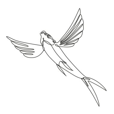 Continuous line drawing illustration of a Sailfin flying fish taking off done in mono line or doodle style in black and white on isolated background.  clipart