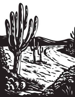 WPA poster monochrome art of the Saguaro National Park located in Pima County, southeastern Arizona, USA done in works project administration black and white style. clipart