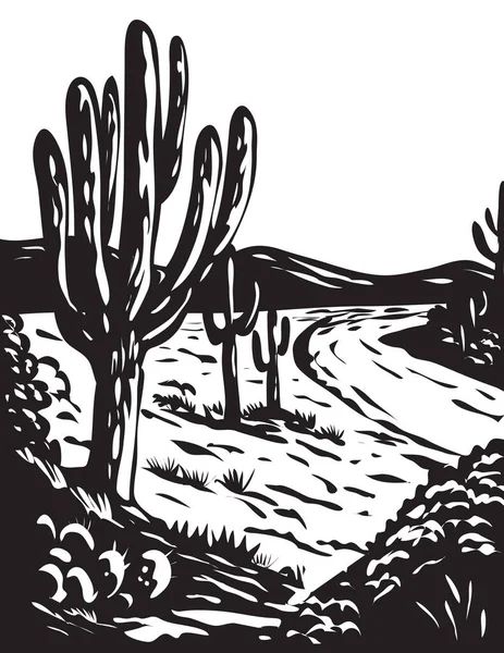 Plakat Wpa Monochromatycznej Sztuki Parku Narodowego Saguaro Znajduje Się Pima — Wektor stockowy