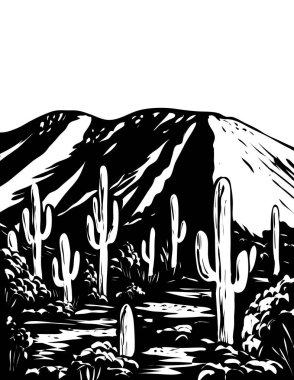 Saguaro Ulusal Parkı Arizona Tucson Bölgesi Wasson Tepesi 'nin WPA poster tek renkli sanatı, ABD çalışma projesi yönetimi siyah-beyaz stili..