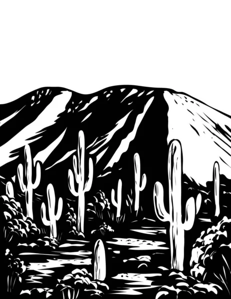 Wpa Poster Arte Monocromática Wasson Peak Tucson Mountain District Saguaro — Vetor de Stock