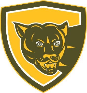 Puma dağ aslanı baş sinsi sinsi kalkan retro