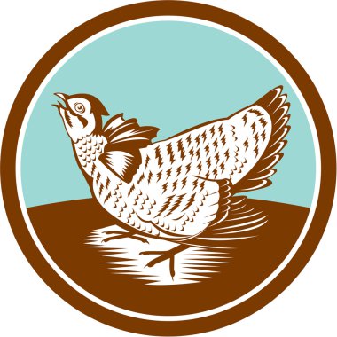 Prairie Chicken Retro Circle clipart