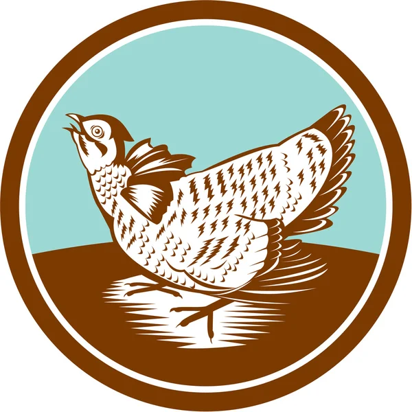 Prairie Chicken Retro Circle — Stock Vector