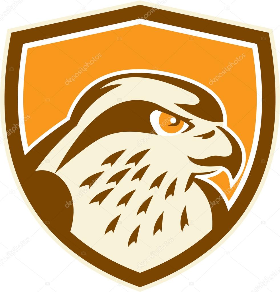 Peregrine Falcon Head Shield Retro