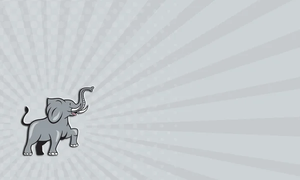 Business card elefant marscherar dansande Cartoon — Stockfoto