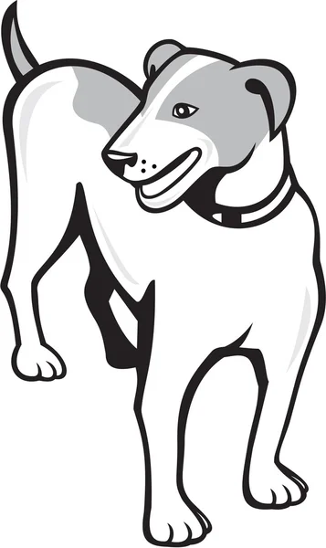 Jack Russell Terrier de pie de dibujos animados — Vector de stock