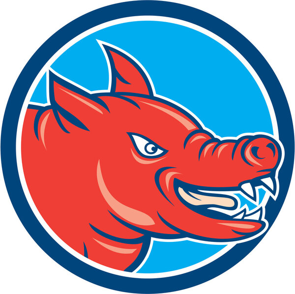 Карикатура Angry Pig Head
