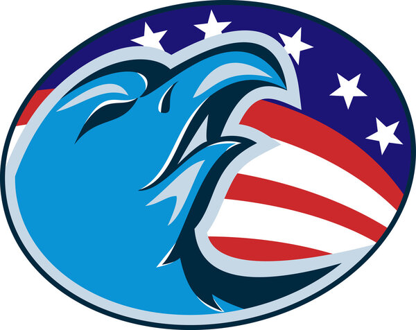 Американские звёзды и полосы на белом орле
