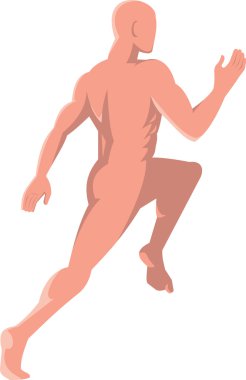 Çalışan erkek insan anatomisi