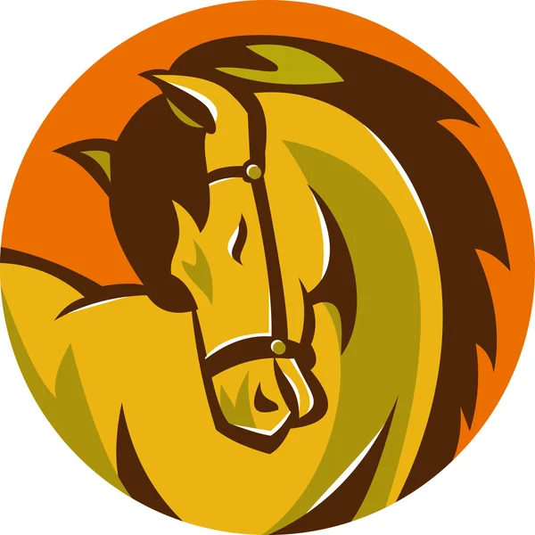 Horse stallion head retro — Stock Vector