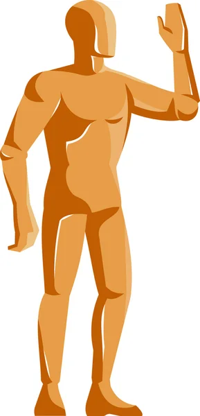 Maniquí anatomía humana — Vector de stock