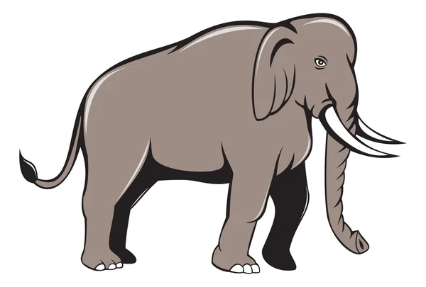 Indisk elefant Cartoon — Stock vektor