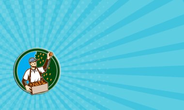 Kartvizit meyve seçici alt toplama Erik daire