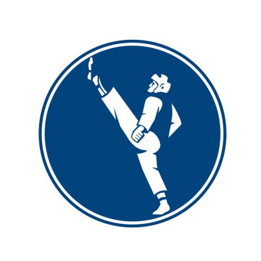 Adam duruşu tekme taekwondo Fighter