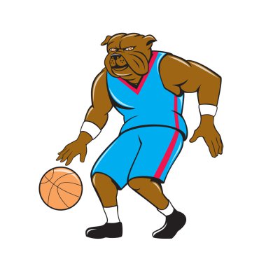 Kuzey Amerika boz ayısı basketbolcu