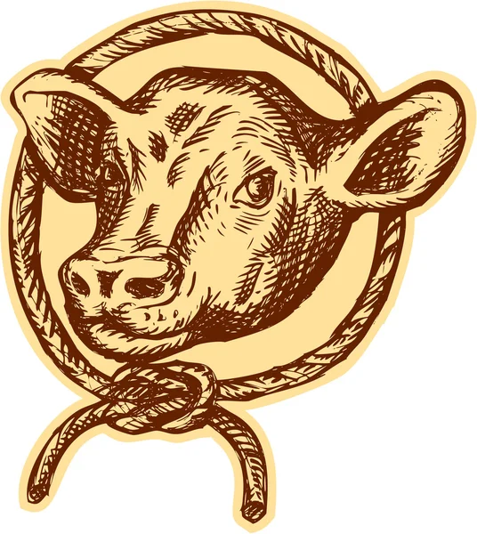 Cow Bull cabeça corda círculo gravura — Vetor de Stock