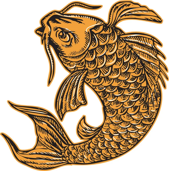 Koi Nishikigoi Carpa de pescado Saltando Aguafuerte — Vector de stock