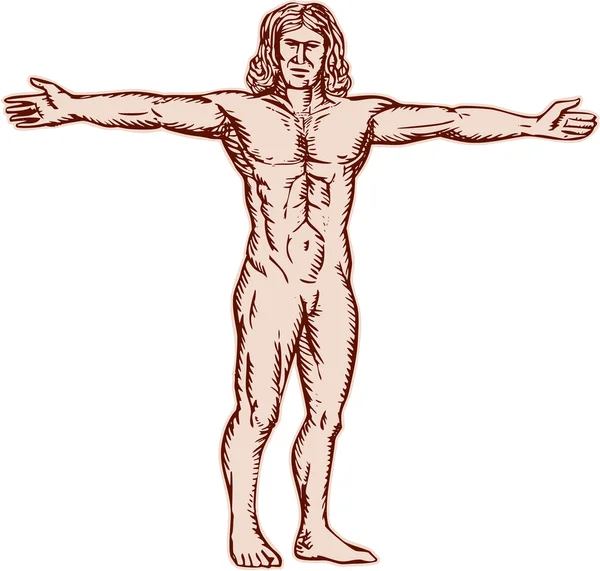 Vitruvian Man wapens verspreid Front etsen — Stockvector