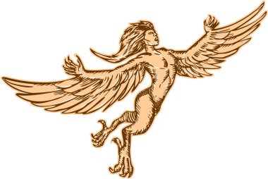 Harpy Flying Front Etching clipart