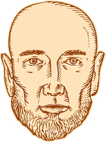 Male Bald Head Bearded Etching — Stock Vector