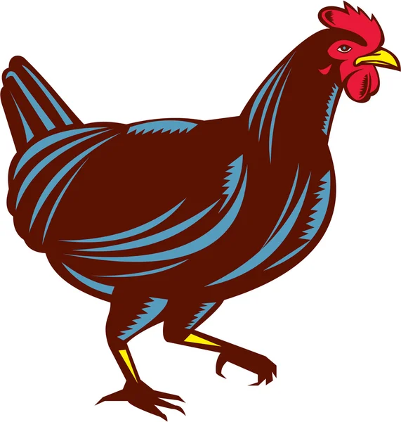 Gallina de pollo caminando lado leña — Vector de stock