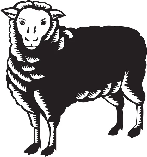 Owce Side View drzeworyt — Wektor stockowy