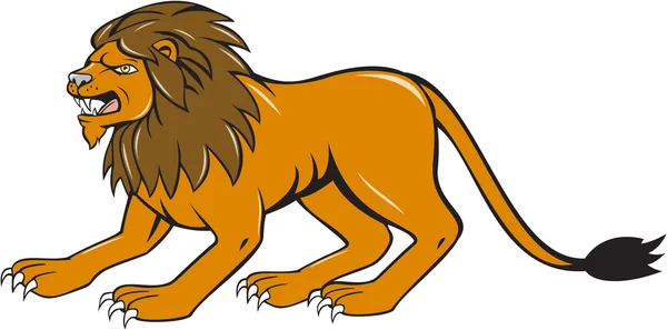 Leão irritado agachado lado desenhos animados — Vetor de Stock