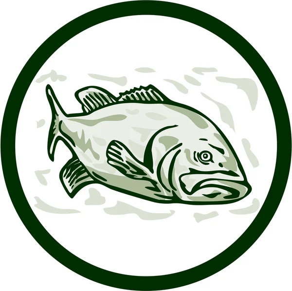 Largemouth bas fisk främre sidan cirkeln Cartoon — Stock vektor